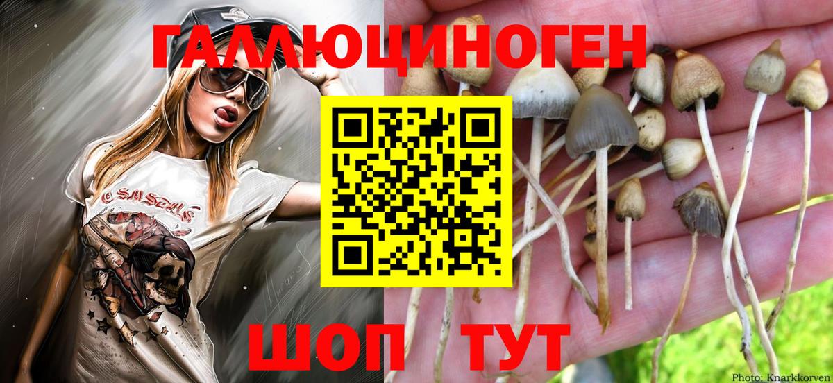 Галлюциногенные грибы GOLDEN TEACHER Архангельск